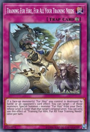 Training Fur Hire, Fur All Your Training Needs - (2019 Gold Sarcophagus Tin Mega Pack) - (MP19-EN256) - (Common)