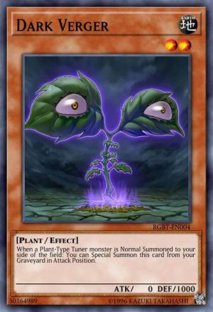Dark Verger - (Raging Battle) - (RGBT-EN004) - (Rare)