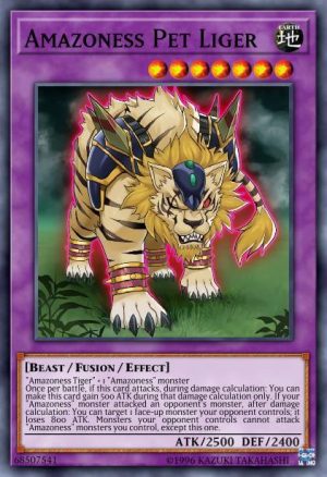 Amazoness Pet Liger - (2018 Mega-Tin Mega Pack) - (MP18-EN166) - (Common)