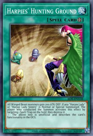 Harpies' Hunting Ground - ( Duelists of Tomorrow) - (SS02-ENC13) - (Common)