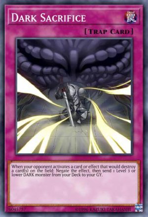 Dark Sacrifice - (Battles of Legend Hero's Revenge) - (BLHR-EN056) - (Secret Rare)