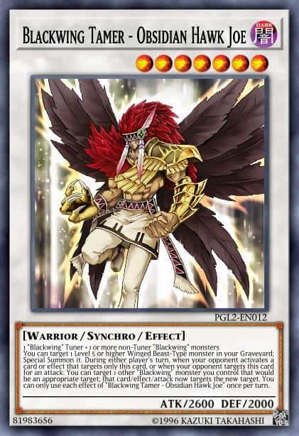 Blackwing Tamer - Obsidian Hawk Joe - (Legendary Duelists Season 2) - (LDS2-EN042) - (Common)